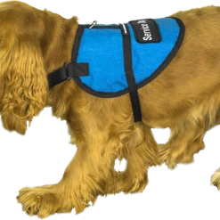 Padded Service Dog Vest - Sm/Med Dog -Puppy`s Store 707548 12 full 41297.1638911370