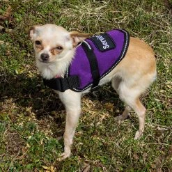 Reflective Padded Service Dog Vest - Sm/Med Dog -Puppy`s Store 707548REF 4 full 26877.1638911342