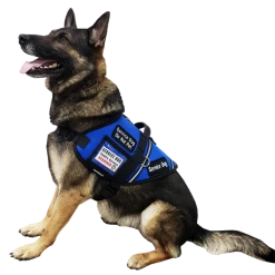 Service Dog S&R Style Vest -Puppy`s Store 707549 205 full 09648.1650884512