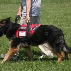 Service Dog S&R Style Vest -Puppy`s Store 707549 9 full 82040.1650884512