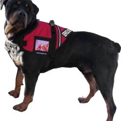 Service Dog S&R Style Vest -Puppy`s Store 707549XLG 3 full 99691.1650884512