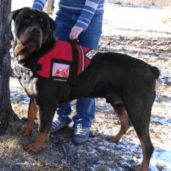 Service Dog S&R Style Vest -Puppy`s Store 707549XLG full 55052.1650884512