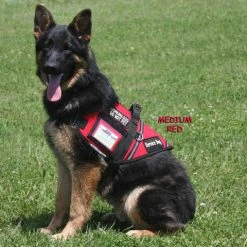 Service Dog S&R Style Vest -Puppy`s Store 707549 full 86021.1650884512