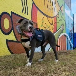 Padded Harness Service Dog Vest -Puppy`s Store 707551 32 full 36105.1655725306