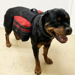 Service Dog Day Trip Pack Bag Harness Vest -Puppy`s Store 7075529 207 full 31949.1638911337