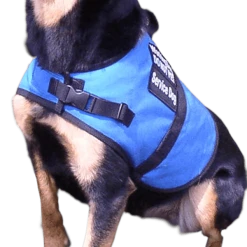 Two-Part Service Dog Backpack Harness Vest -Puppy`s Store 707553 3 full 17827.1638911343
