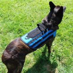 Carry-All MOLLE Pack Vest -Puppy`s Store 7075534 13 full 27522.1638911444