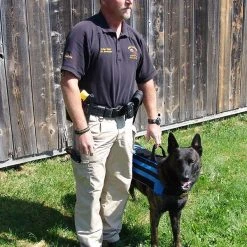 Carry-All MOLLE Pack Vest -Puppy`s Store 7075534 14 full 70705.1638911441