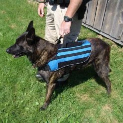 Carry-All MOLLE Pack Vest -Puppy`s Store 7075534 15 full 76854.1638911443