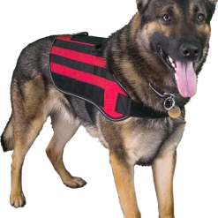 Carry-All MOLLE Pack Vest -Puppy`s Store 7075534 8 full 11663.1638911442