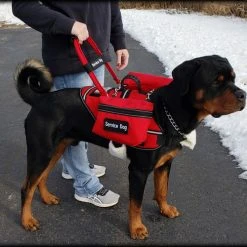 Padded Cordura Clip-on Bridge Handle -All Colors W/ Service Dog ID Band -Puppy`s Store 7075535 10 full 05039.1644234141