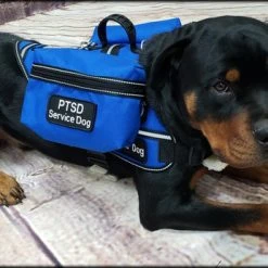 Ultimate Working Dog Vest W/ Clip-On Accessory Bags -Puppy`s Store 7075535 4 full 11948.1644842057