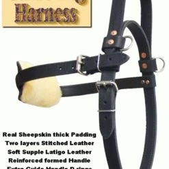 Leather Guide Dog Harness -Puppy`s Store 7075547AD1 08619.1638911400