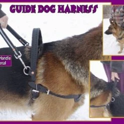 Leather Guide Dog Harness -Puppy`s Store 7075547AD3 10202.1638911405