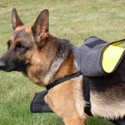 Fleece Lined Raincoat -Puppy`s Store 707554n 62486.1651587570