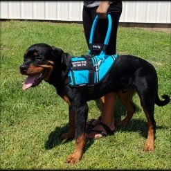 Padded Cordura Clip-on Bridge Handle -All Colors W/ Service Dog ID Band -Puppy`s Store 7075551 103 full 50862.1644234141