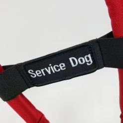 Premium Service Dog Starter Kit -Puppy`s Store 7075551 106 full 65234.1638911496