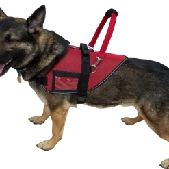 Padded Cordura Clip-on Bridge Handle -All Colors W/ Service Dog ID Band -Puppy`s Store 7075551 11 full 76707.1644234141