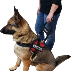 12" Nylon Clip-on Bridge Handle W/Service Dog ID Band -Puppy`s Store 7075556 150 full 58267.1638911521