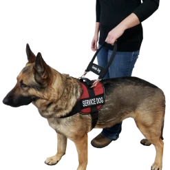 12" Nylon Clip-on Bridge Handle W/Service Dog ID Band -Puppy`s Store 7075556 151 full 80390.1638911512