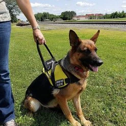 12" Nylon Clip-on Bridge Handle W/Service Dog ID Band -Puppy`s Store 7075556 152 full 82980.1638911515