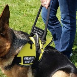 Bridge Handle Hook & Loop ID Band W/ Patch -Puppy`s Store 7075557 9 full 63519.1638911496