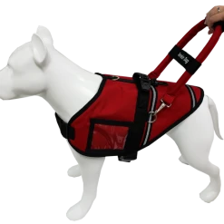 Expanding Elastic Bridge Handle ID Strap Band W/ Patch -Puppy`s Store 7075558 3 full 02225.1638911509