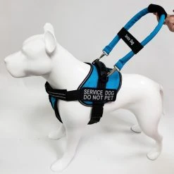 Expanding Elastic Bridge Handle ID Strap Band W/ Patch -Puppy`s Store 7075558 5 full 88090.1638911497