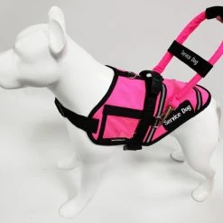 Expanding Elastic Bridge Handle ID Strap Band W/ Patch -Puppy`s Store 7075558 8 full 27394.1638911502