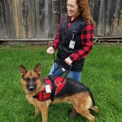 Service Dog Clip-On ID Carrier -Puppy`s Store 7075559 ad4 full 76435.1638911455