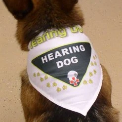 Working Dog Bandana -Puppy`s Store 707555B 3 full 67015.1638911340