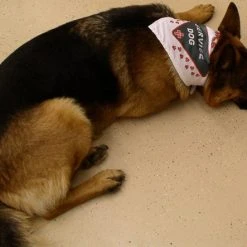 Working Dog Bandana -Puppy`s Store 707555B 4 full 53829.1638911342