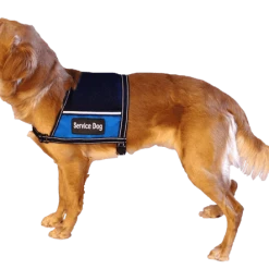 Service Dog Mesh Cape Vest W/ Clear Vinyl Pocket -Puppy`s Store 707555 full 07978.1638911340
