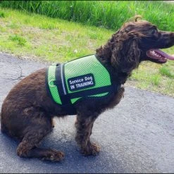 Service Dog Breathable Mesh Vest -Puppy`s Store 707556 206 full 34256.1652699911