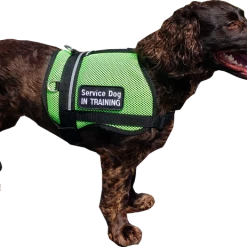 Service Dog Breathable Mesh Vest -Puppy`s Store 707556 214 full 16624.1652699911