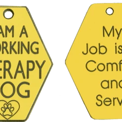 Standard Therapy Dog Vest Starter Kit -Puppy`s Store 7075565 full 96057.1638911467