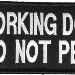 Embroidered Patch 2x4 -Puppy`s Store 707560P 2 full 59760.1638911361