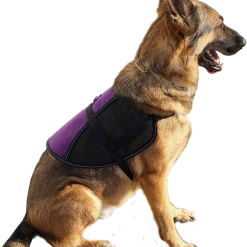 Service Dog Vest - Hybrid Mesh Vest -Puppy`s Store 707568 7 full 56326.1652094090