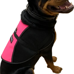 Service Dog Vest - Hybrid Mesh Vest -Puppy`s Store 707568 9 full 16057.1652094090