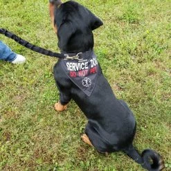 Service Dog Reflective Bandana Dog Collar -Puppy`s Store 707569 2 full 90922.1638911526