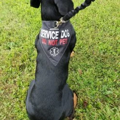 Service Dog Reflective Bandana Dog Collar -Puppy`s Store 707569 6 full 86735.1638911531