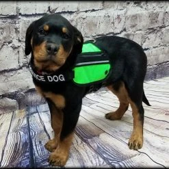 Butterfly Cape Service Dog Vest With Pockets 16 Butterfly Cape Service Dog Vest With Pockets -Puppy`s Store 707572 25 full 61819.1638911341