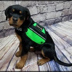 Butterfly Cape Service Dog Vest With Pockets 23 Butterfly Cape Service Dog Vest With Pockets -Puppy`s Store 707572 26 full 81165.1638911345