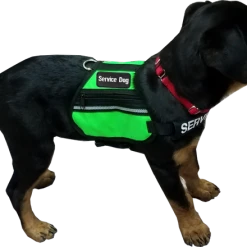 Butterfly Cape Service Dog Vest With Pockets 24 Butterfly Cape Service Dog Vest With Pockets -Puppy`s Store 707572 27 full 55146.1638911348