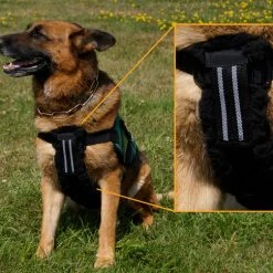 Chest To Girth Strap Support -Puppy`s Store 707573 1 full 76590.1638911442