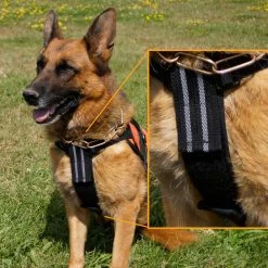 Chest To Girth Strap Support -Puppy`s Store 707573 4 full 96636.1638911440
