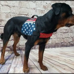 American Patriotic Service Dog Dual Pocket Vest -Puppy`s Store 707574 7 full 49395.1638911523