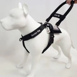 Front Range No Pull Dog Harness -Puppy`s Store 707576 14 full 07363.1654712481