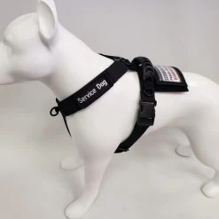 Front Range No Pull Dog Harness -Puppy`s Store 707576 16 full 43882.1638911531