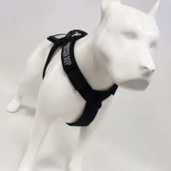 Front Range No Pull Dog Harness -Puppy`s Store 707576 4 full 69436.1638911533